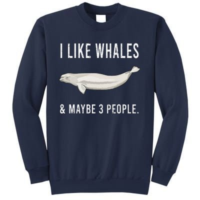 Funny I Like Beluga Whale And Maybe 3 People Sweatshirt