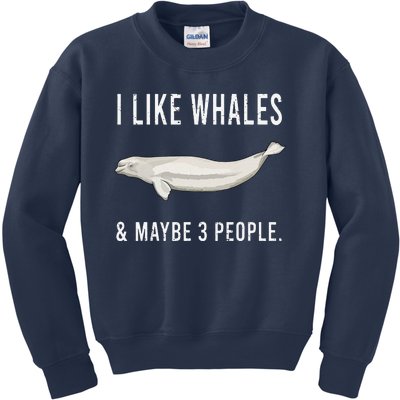 Funny I Like Beluga Whale And Maybe 3 People Kids Sweatshirt