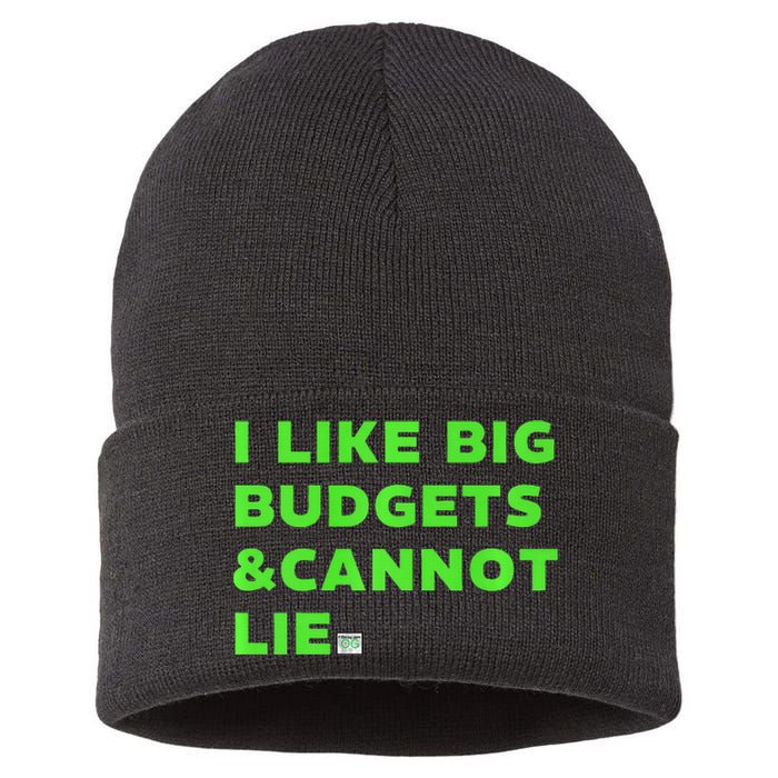 Fiswag.Com I Like Big Budgets & Cannot Lie Green Sustainable Knit Beanie