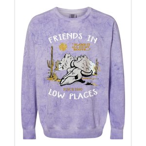 Friend In Low Places 90s Country Western Colorblast Crewneck Sweatshirt