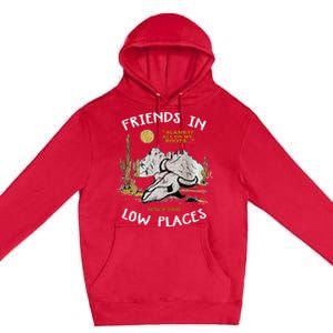 Friend In Low Places 90s Country Western Premium Pullover Hoodie