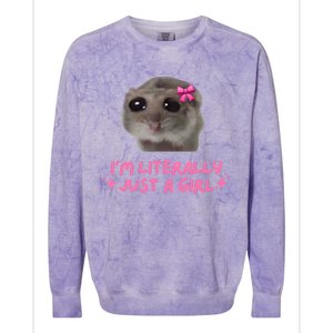 Funny IM Literally Just A Girl Sad Hamster Meme Colorblast Crewneck Sweatshirt