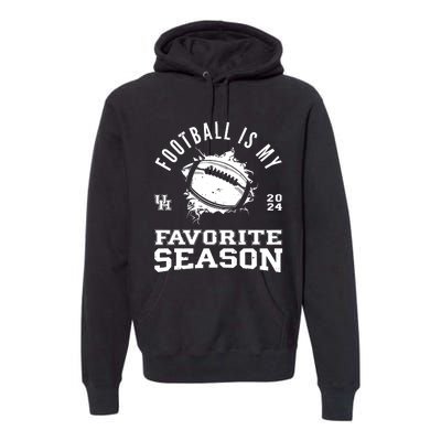 Football Is My Favorite Season Premium Hoodie