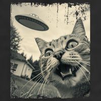 Funny Invasion Meme Vintage Alien Cat Ufo Selfie Hat