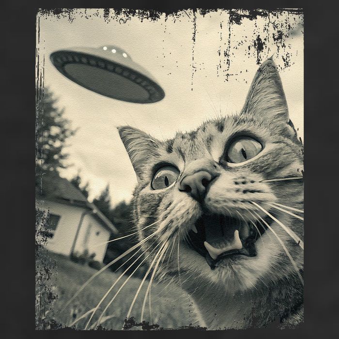 Funny Invasion Meme Vintage Alien Cat Ufo Selfie Hat