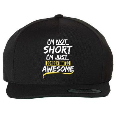 Funny IM Not Short IM Just Concentrated Awesome Funny Wool Snapback Cap