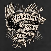 Freedom Is Not Free Eagle Adult Drive Performance Visor