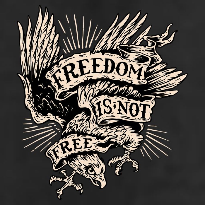 Freedom Is Not Free Eagle Adult Drive Performance Visor