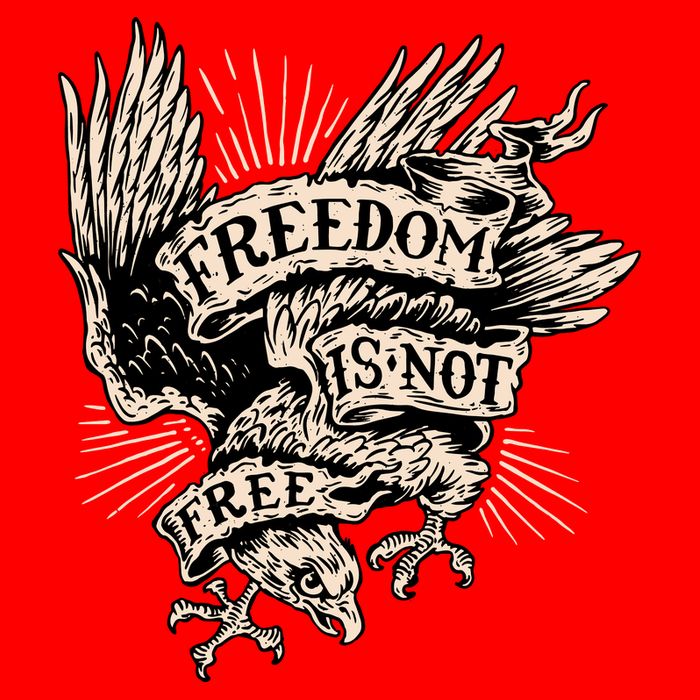 Freedom Is Not Free Eagle 25L Jumbo Tote