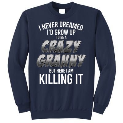 Funny I Never Dreamed I'd Grow Up To Be A Crazy Granny Sweatshirt