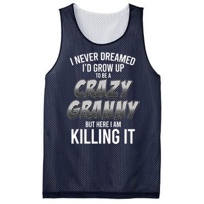 Funny I Never Dreamed I'd Grow Up To Be A Crazy Granny Mesh Reversible Basketball Jersey Tank