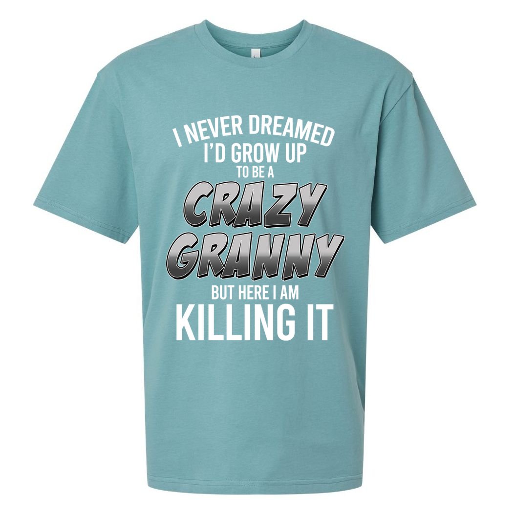 Funny I Never Dreamed I'd Grow Up To Be A Crazy Granny Sueded Cloud Jersey T-Shirt