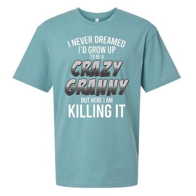 Funny I Never Dreamed I'd Grow Up To Be A Crazy Granny Sueded Cloud Jersey T-Shirt