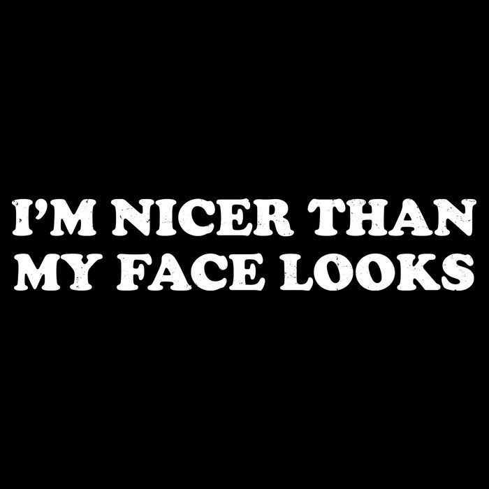Funny Im Nicer Than My Face Looks USA-Made Doggie Bandana