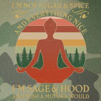 Funny I'm Not Sugar And Spice I'm Sage And Hood Legacy Tie Dye Trucker Hat