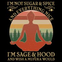 Funny I'm Not Sugar And Spice I'm Sage And Hood 16 in Basic Backpack
