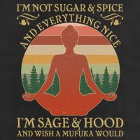 Funny I'm Not Sugar And Spice I'm Sage And Hood Hat