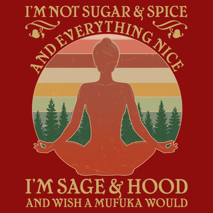 Funny I'm Not Sugar And Spice I'm Sage And Hood V-Neck T-Shirt