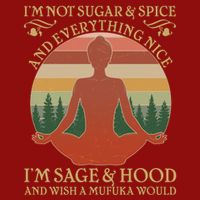 Funny I'm Not Sugar And Spice I'm Sage And Hood Sustainable Beanie