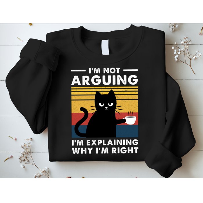 Funny I'm Not Arguing I'm Just Explain Why I'm Right Sweatshirt