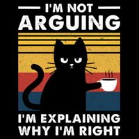 Funny I'm Not Arguing I'm Just Explain Why I'm Right Premium T-Shirt