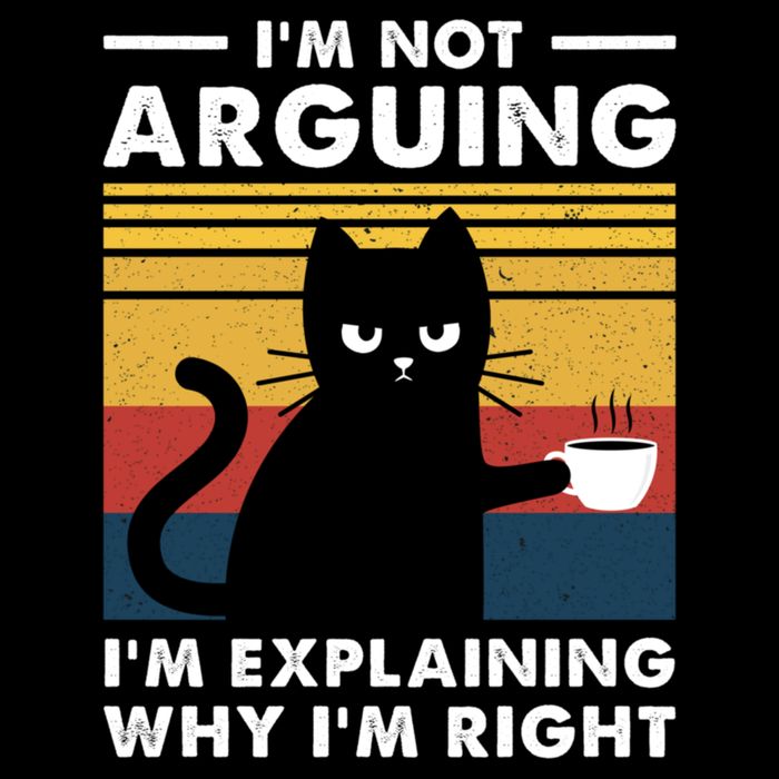 Funny I'm Not Arguing I'm Just Explain Why I'm Right Premium T-Shirt