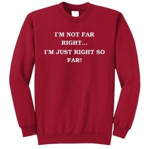 Funny IM Not Far Right IM Just Right So Far 2024 Tall Sweatshirt