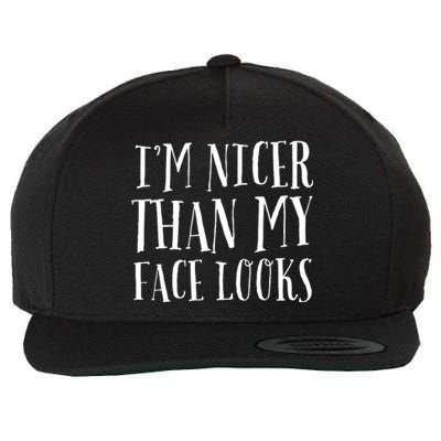 Funny Im Nicer Than My Face Looks Sarcasm Funny Gift Wool Snapback Cap