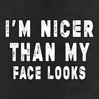Funny Im Nicer Than My Face Looks Sarcasm Funny Gift Adult Drive Performance Visor