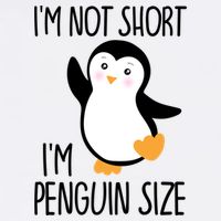 Funny IM Not Short IM Penguin Size Cute Penguin Gift Wool Snapback Cap