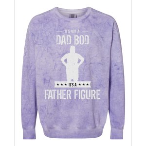 Funny Its Not A Dad Bod Its A Father Figure Fathers Day Colorblast Crewneck Sweatshirt