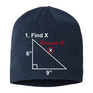 Find X Found It Funny Math School Sustainable Beanie