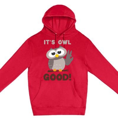 Funny Its Owl Good Birthday Gift For Owl Lovers Premium Pullover Hoodie