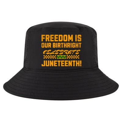 Freedom Is Our Birthright Celebrate Junenth! Gift Cool Comfort Performance Bucket Hat