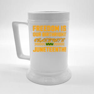 Freedom Is Our Birthright Celebrate Junenth! Gift Beer Stein