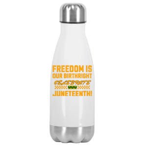 Freedom Is Our Birthright Celebrate Junenth! Gift Stainless Steel Insulated Water Bottle