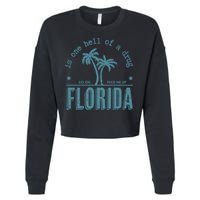 Florida Is One Hell Of A Drug Cropped Pullover Crew