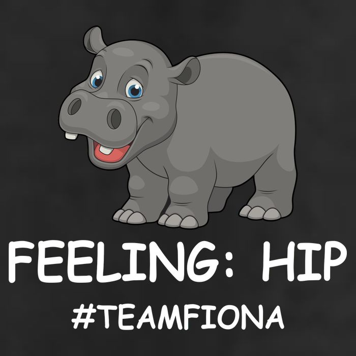 Fiona The Baby Hippo Feeling Hip Preemie 7 Panel Mesh Trucker Snapback Hat