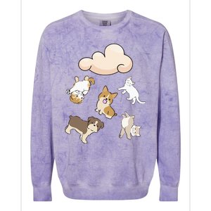 Funny Idiom Raining Cats And Dogs Kitten Puppy For Pet Lover Colorblast Crewneck Sweatshirt