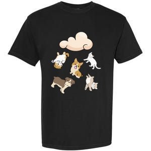 Funny Idiom Raining Cats And Dogs Kitten Puppy For Pet Lover Garment-Dyed Heavyweight T-Shirt