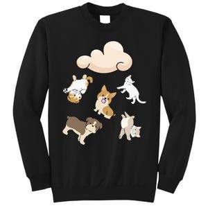 Funny Idiom Raining Cats And Dogs Kitten Puppy For Pet Lover Sweatshirt