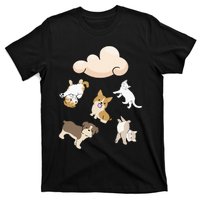 Funny Idiom Raining Cats And Dogs Kitten Puppy For Pet Lover T-Shirt