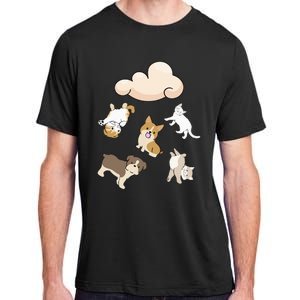 Funny Idiom Raining Cats And Dogs Kitten Puppy For Pet Lover Adult ChromaSoft Performance T-Shirt