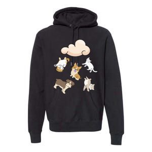 Funny Idiom Raining Cats And Dogs Kitten Puppy For Pet Lover Premium Hoodie