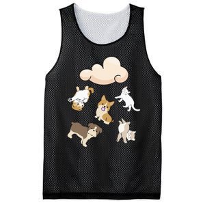 Funny Idiom Raining Cats And Dogs Kitten Puppy For Pet Lover Mesh Reversible Basketball Jersey Tank