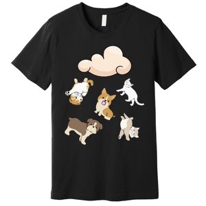 Funny Idiom Raining Cats And Dogs Kitten Puppy For Pet Lover Premium T-Shirt