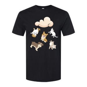 Funny Idiom Raining Cats And Dogs Kitten Puppy For Pet Lover Softstyle CVC T-Shirt