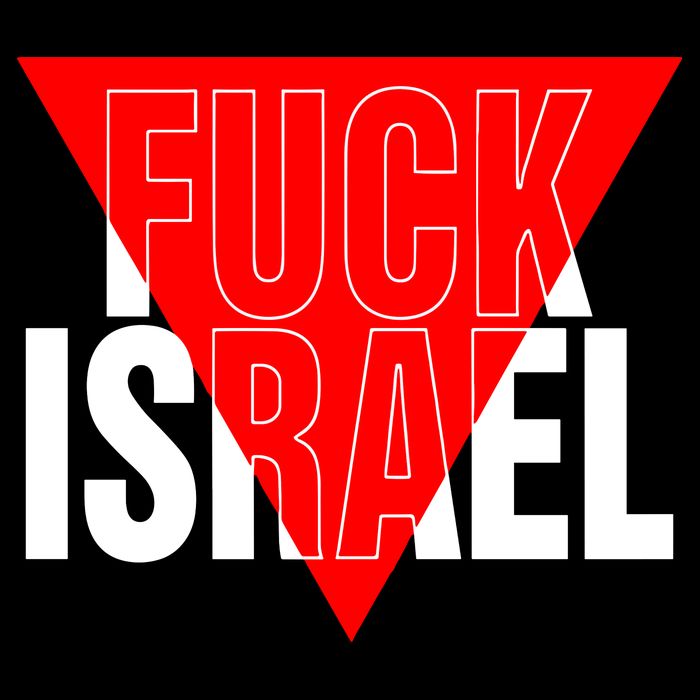Fuck Israel Red Triangle Toddler Hoodie