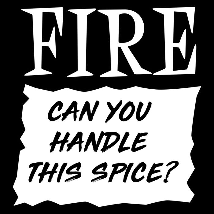 Fire Can you Handle This Spice? 16oz Travel Tumbler