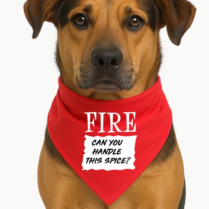 Fire Can You Handle This Spice USA-Made Doggie Bandana